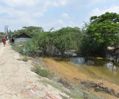 WhatsApp Image 2021-06-11 at 1.26.31 PM (1)